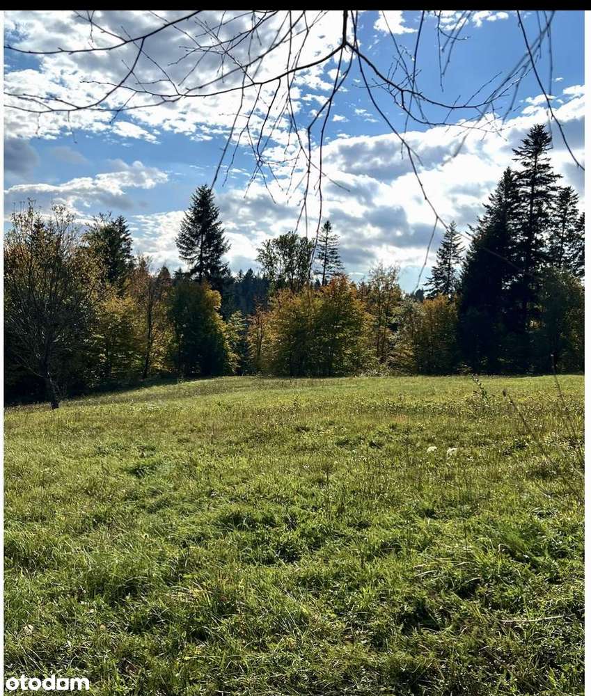 Piękna z pozwoleniem na budowę domu działka w sercu Bieszczad - Pełny obrazek: 5/11