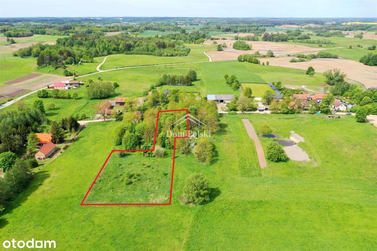 Działka 4900 m2 - Zatyki, gm. Olecko - Pełny obrazek: 4/14