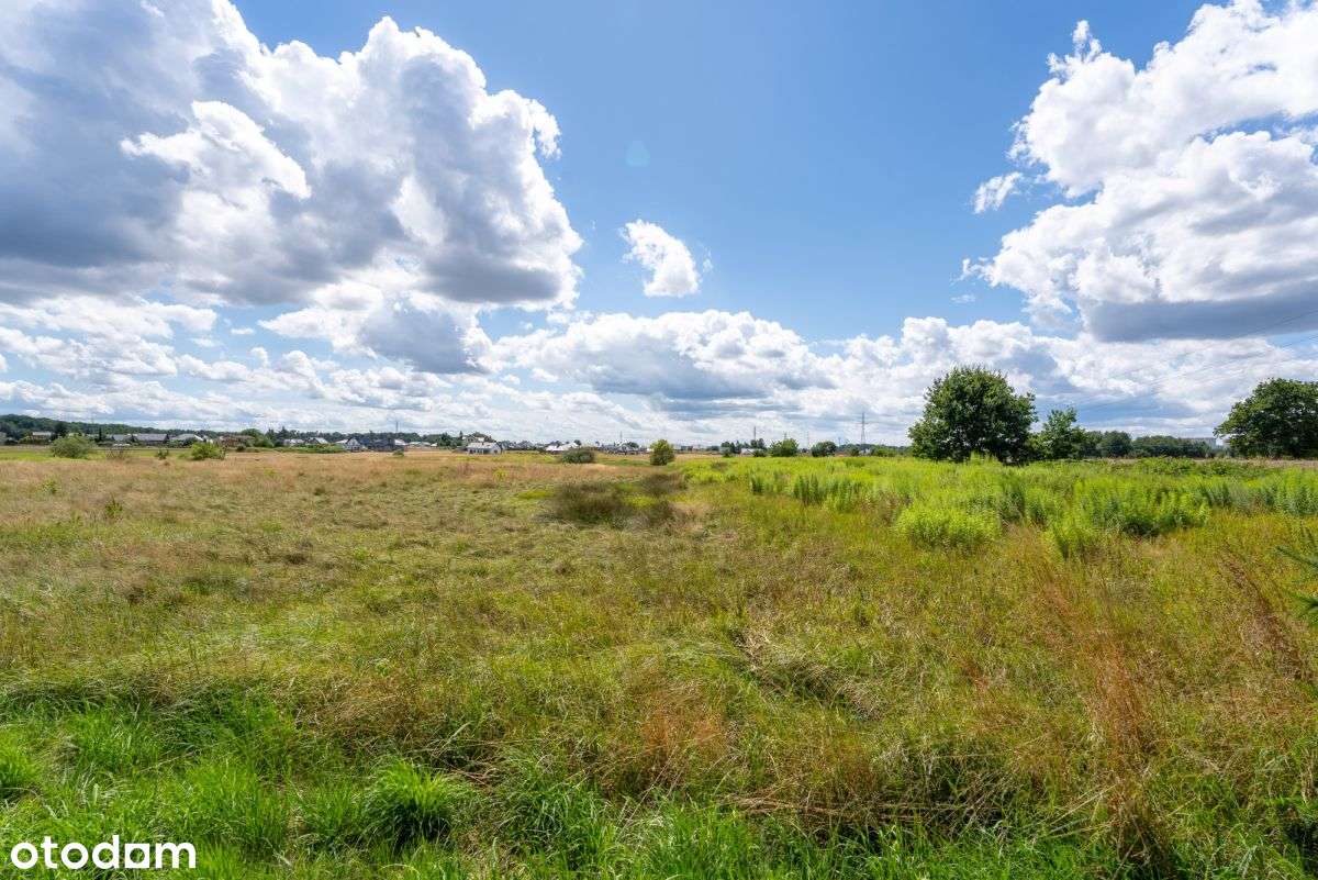 Sprzedam Duży Teren Rolny 1,5ha Żory Baranowice-11