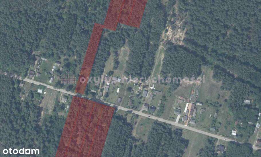 Działki w Anielinie – 14 ha z potencjałem-8