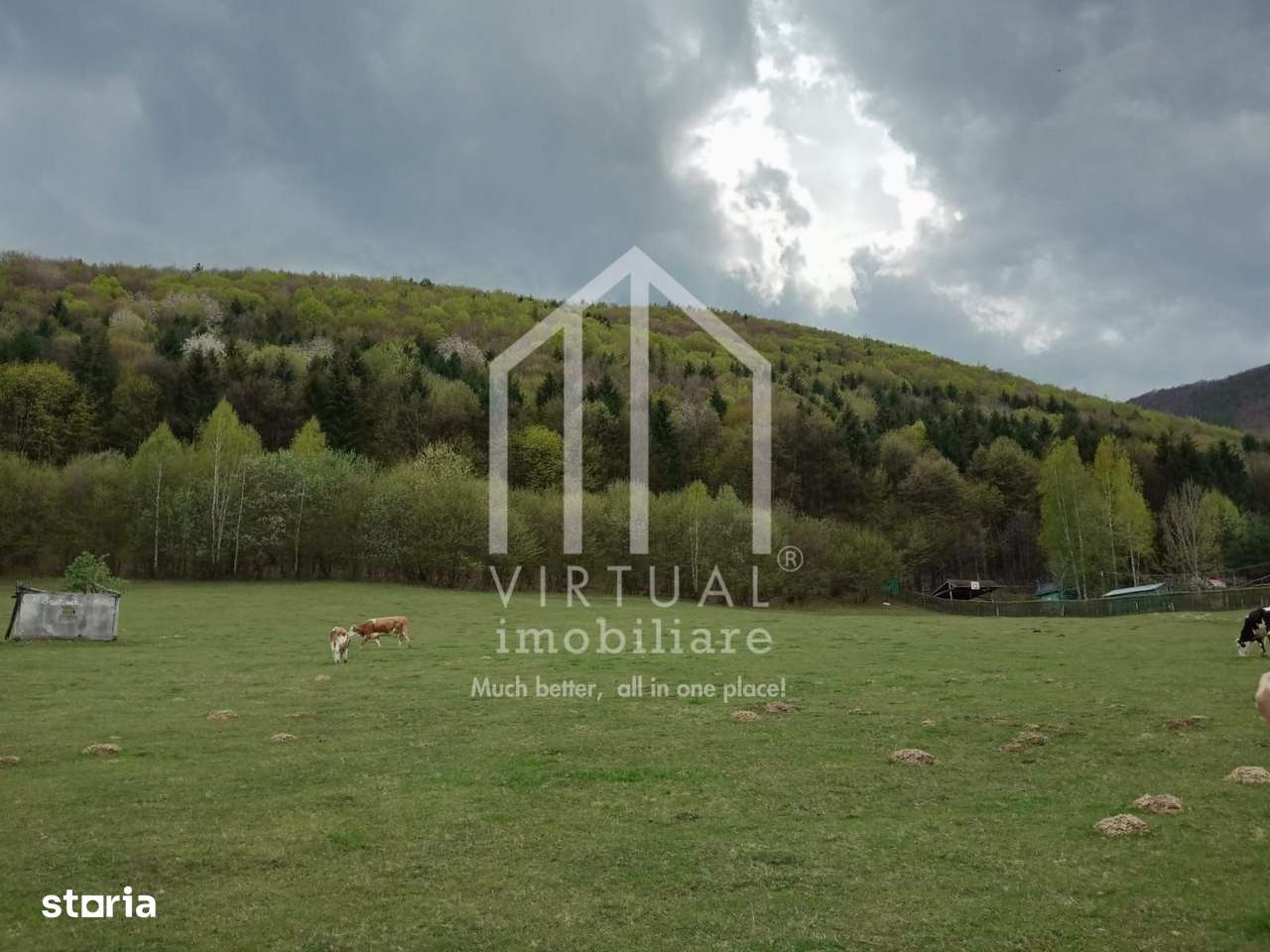 Teren intravilan de vanzare in Tocile, 3862 mp, priveliste spre padure - Imagine principală: 5/14