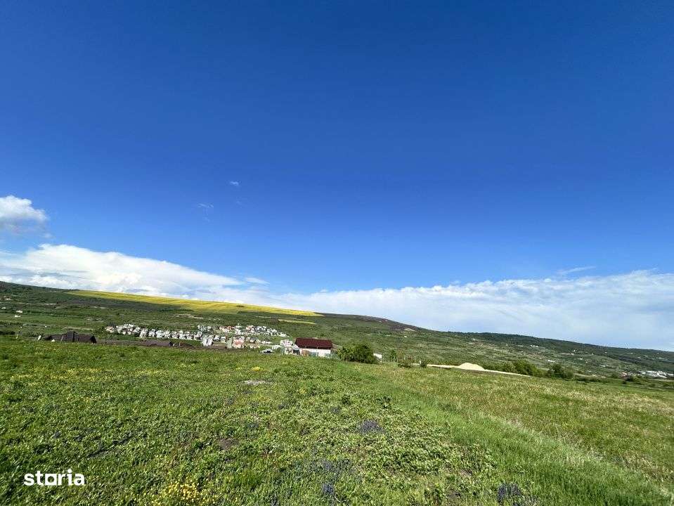 Teren Valea Chintaului / Cluj 5.547mp  parcelabil - Imagine principală: 4/7