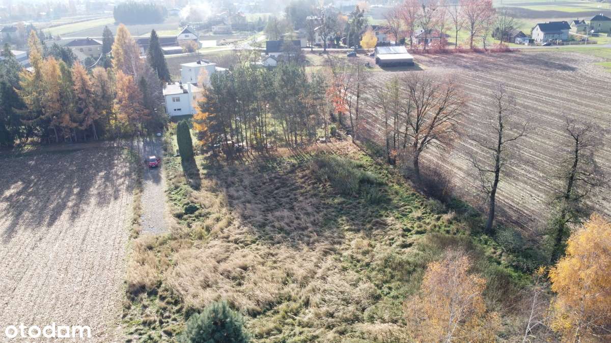 Płaska atrakcyjna działka o pow. 1250 mkw, Zaborze, gm. Chybie - Pełny obrazek: 5/10