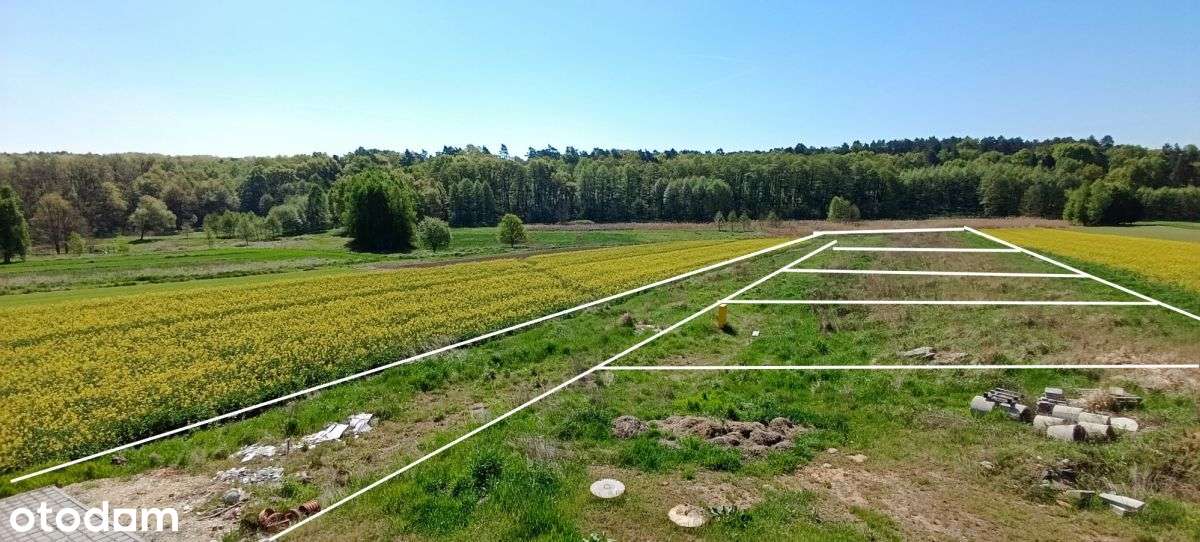 Wybierz Projekt i zamieszkaj w Wymarzonym Domu-10