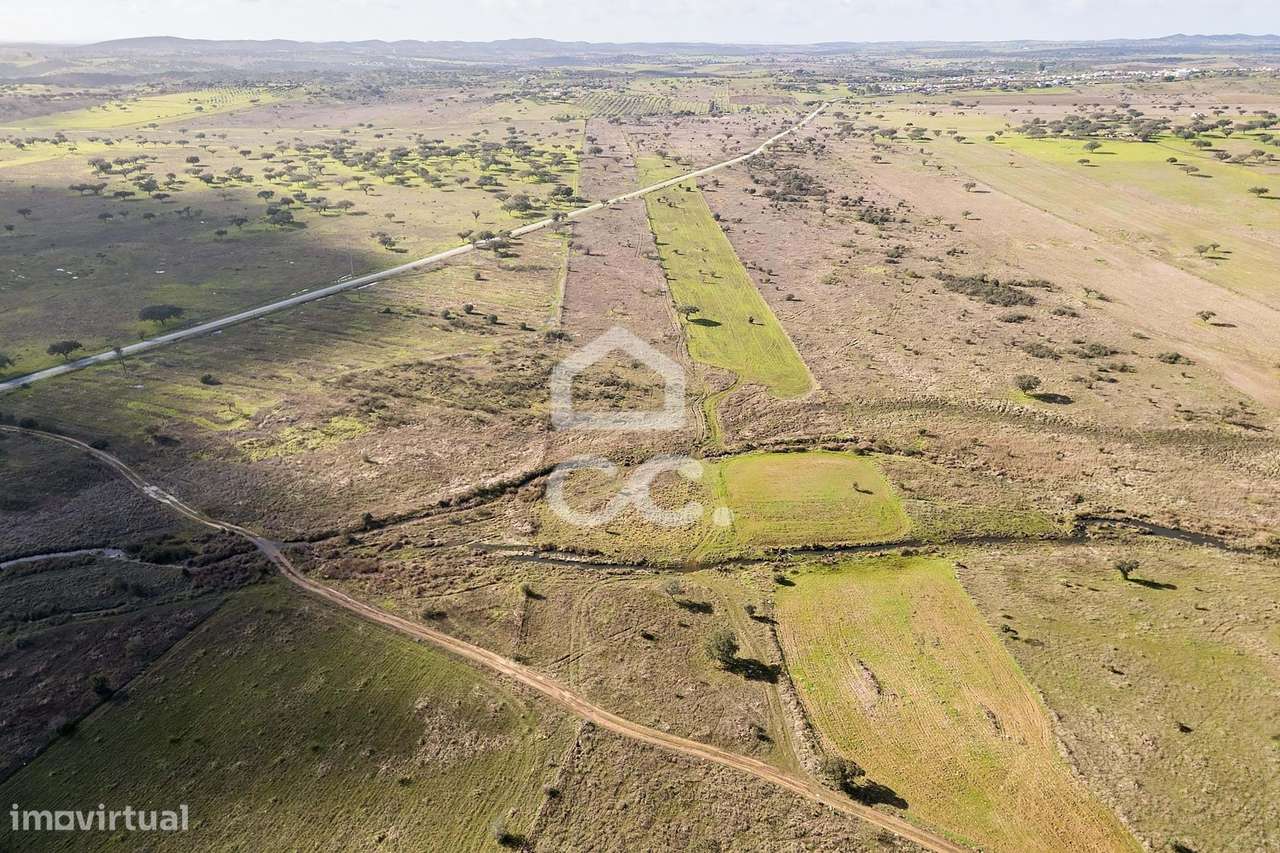 Terreno de 5,4 ha c/ Viabilidade de Construção | Capelins, Alandroal-22