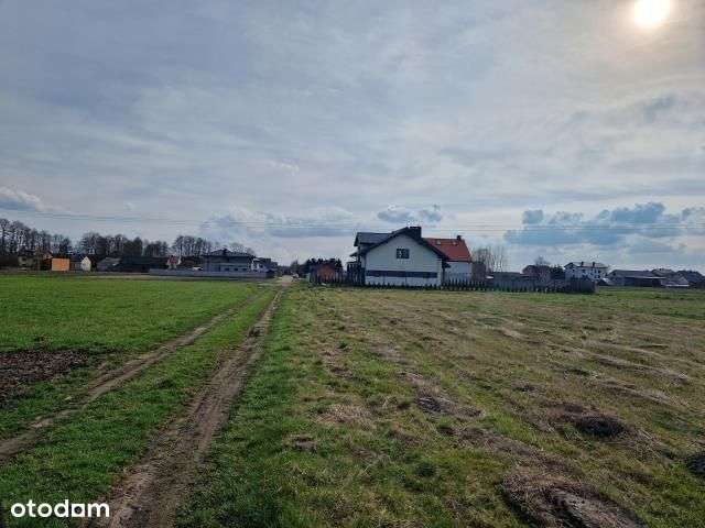 Sprzedaż 4 działek po 3000 m2-3