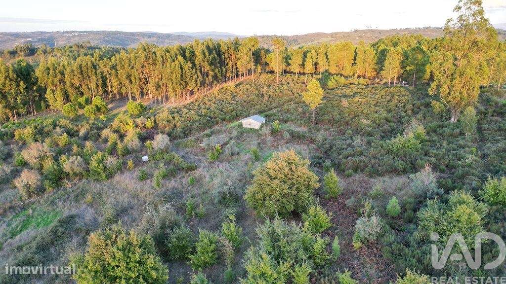 Terreno Agrícola em Paranhos - Grande imagem: 4/24