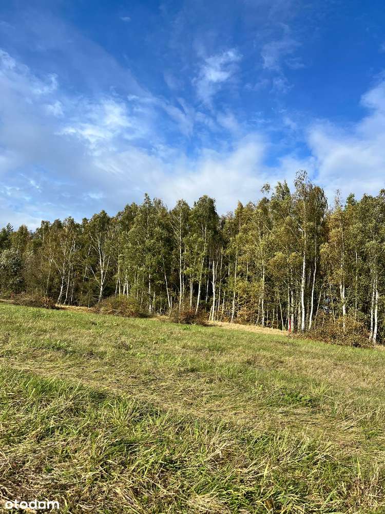 Działki budowlane w Steklnie 800-1180 m2 - Pełny obrazek: 4/8