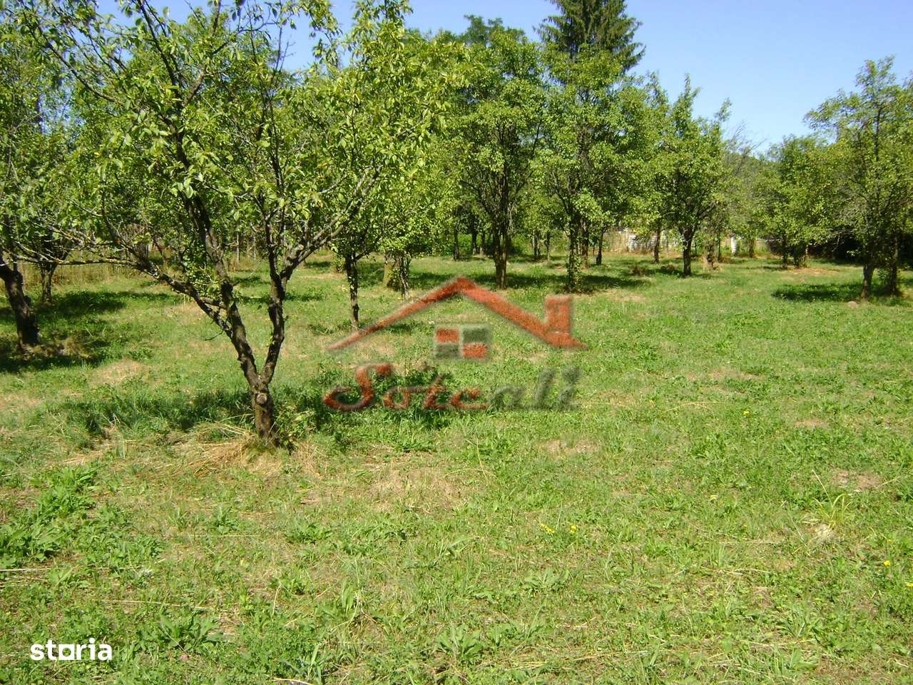 Teren  de vanzare Cornu 1919 mp-0