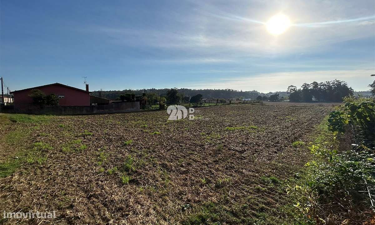 Terreno 1500m² p/ construção - Vilar e Mosteiró - Grande imagem: 4/11