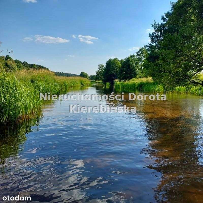 Działka w Zakościelu z dostępem do Rzeki. - Pełny obrazek: 4/18