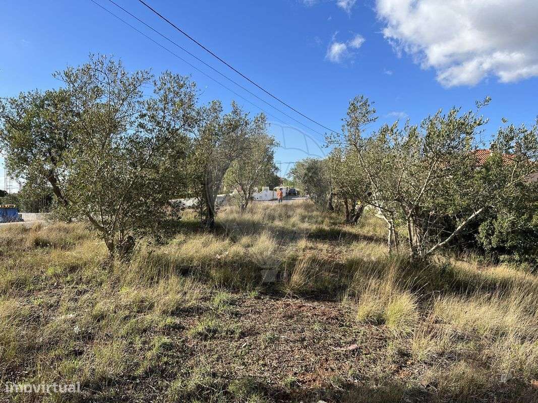 Terreno  para venda - Grande imagem: 4/18