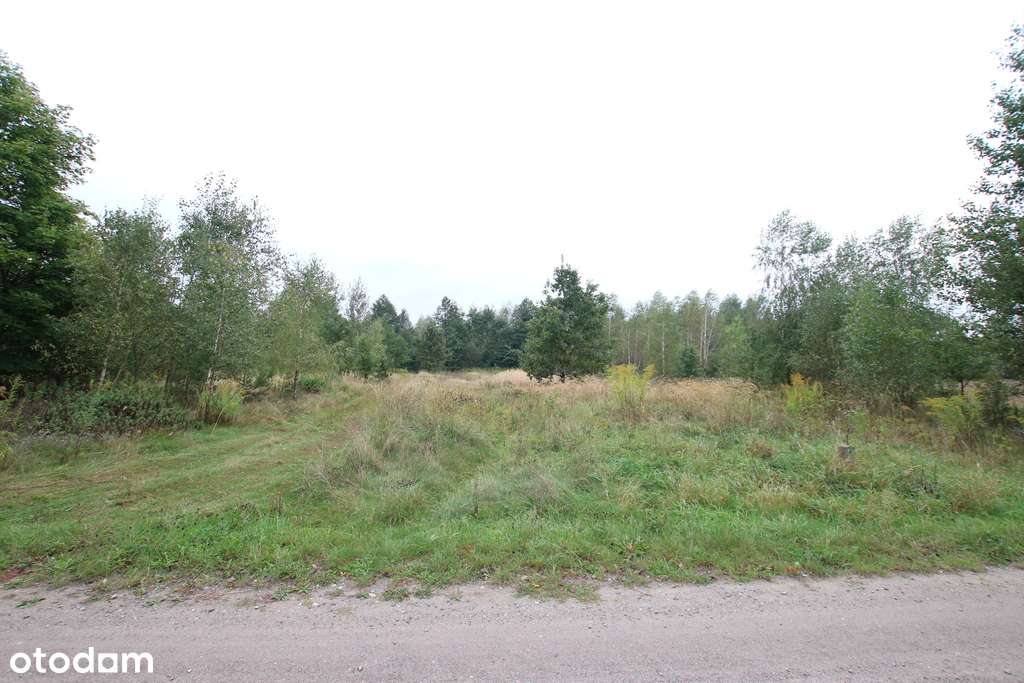 Działka budowlana ok.20 ar Gołąb g. Michów - Pełny obrazek: 4/19