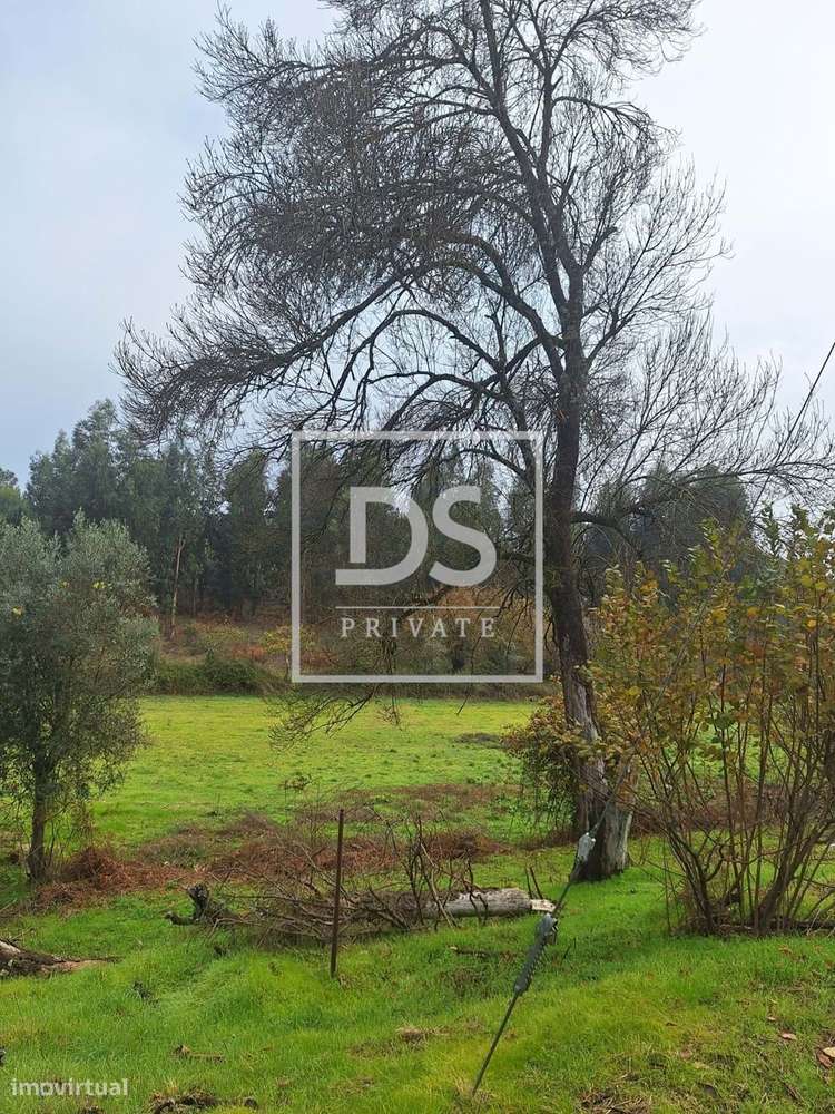 Fabulosa Quinta em Moimenta da Serra – Gouveia-17