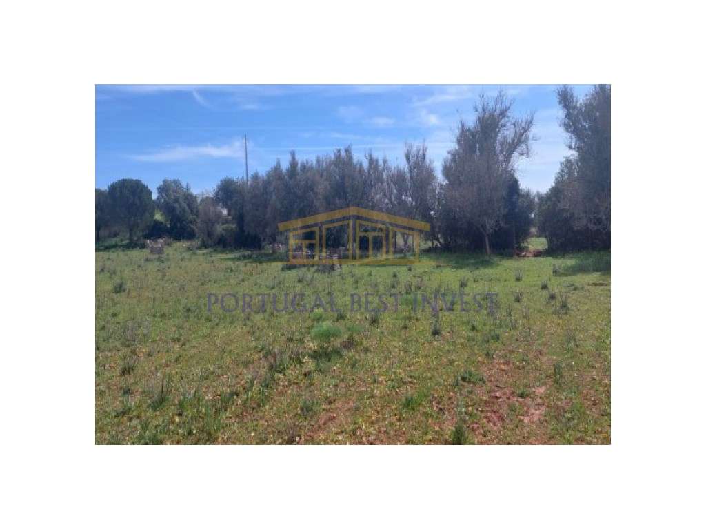 Terreno agrícola na Guia, Albufeira - Grande imagem: 3/15