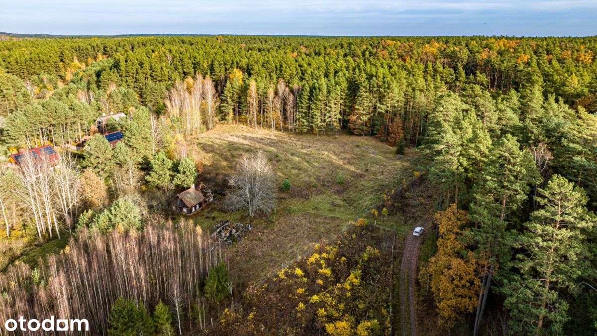 Klimatyczna duża działka blisko jeziora i lasu-7