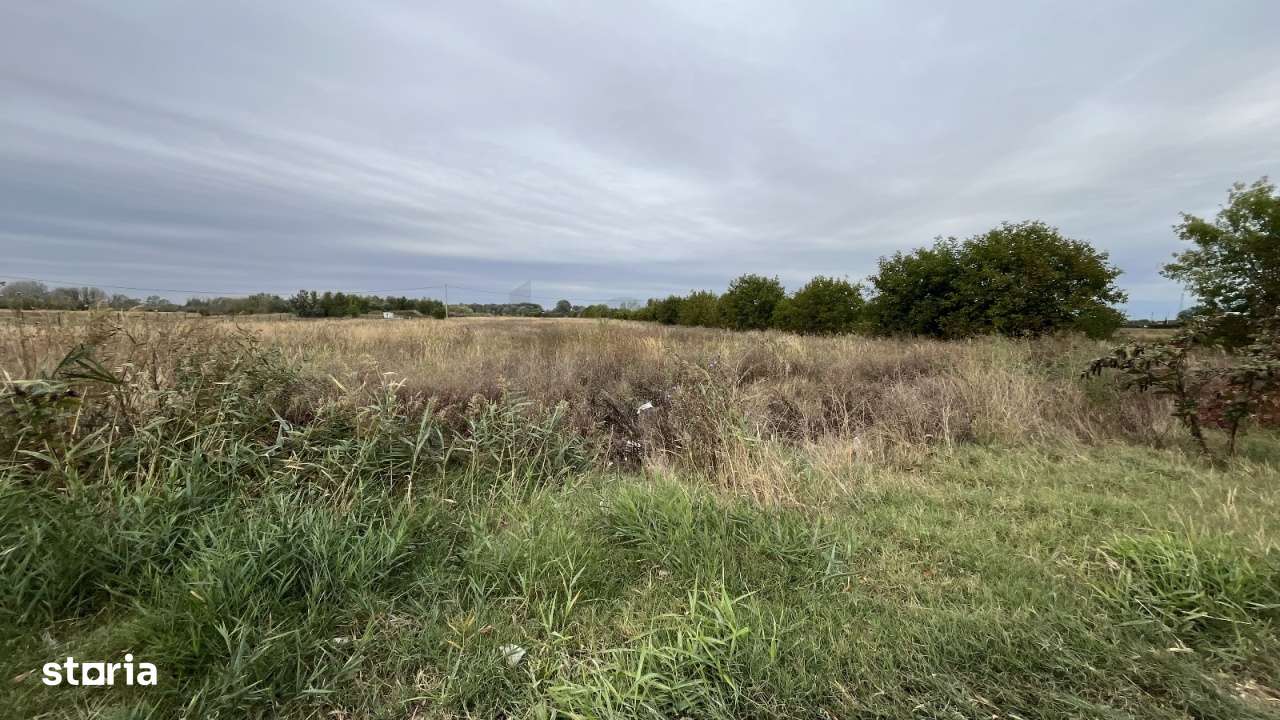 Teren intravilan oportunitate business - Imagine principală: 4/15