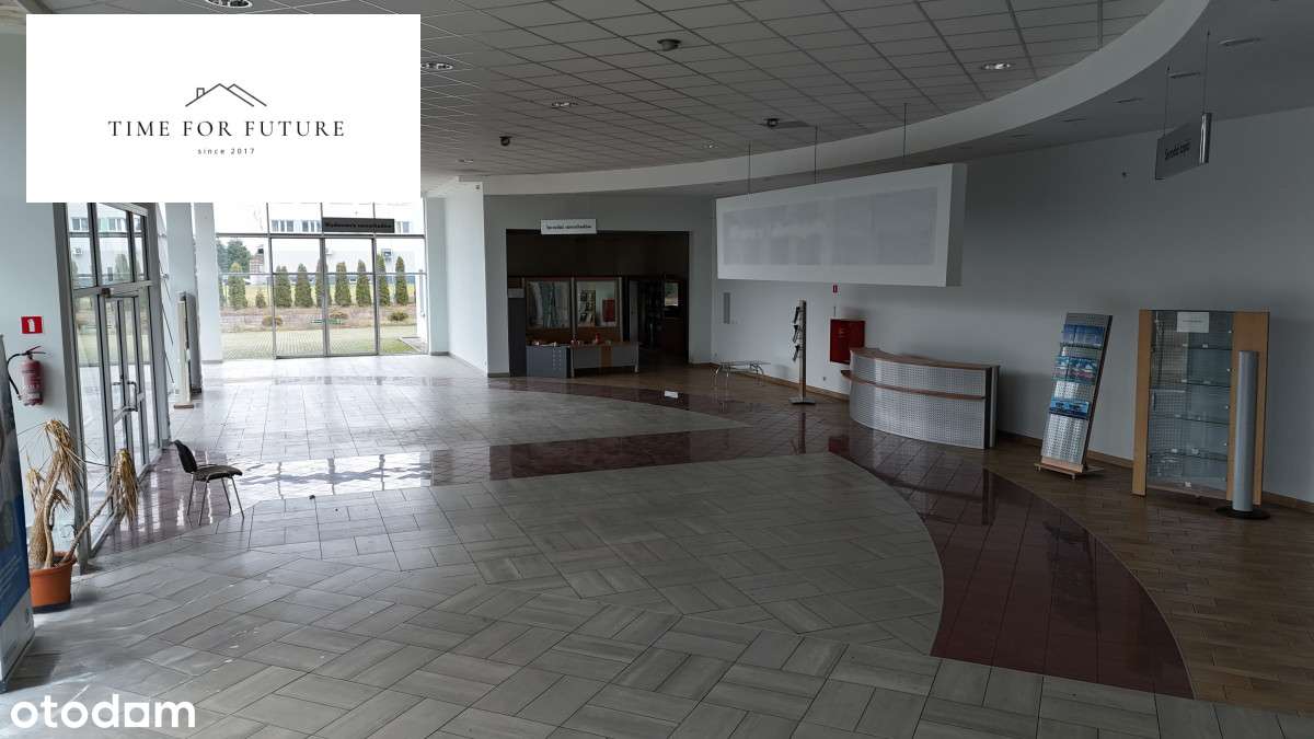 Salon samochodowy na dużej działce. 5589m2 - Pełny obrazek: 4/17