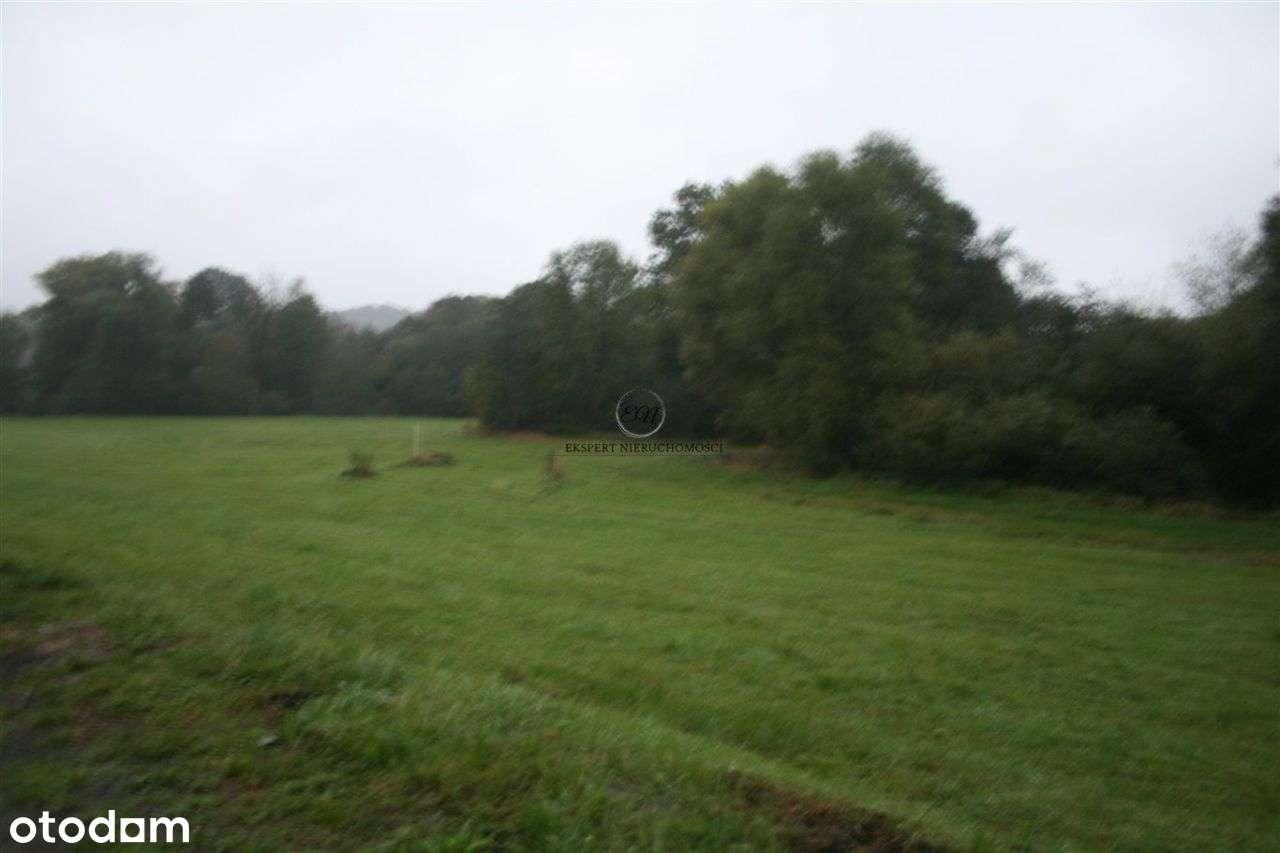 Działka w centrum Cieszyna ! 1317m2 w dobrej cenie-3