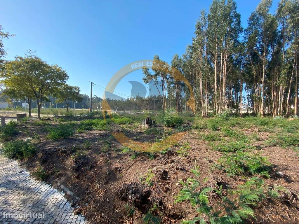 LOTE DE TERRENO PARA CONSTRUÇÃO DE UM PRÉDIO - Grande imagem: 5/8