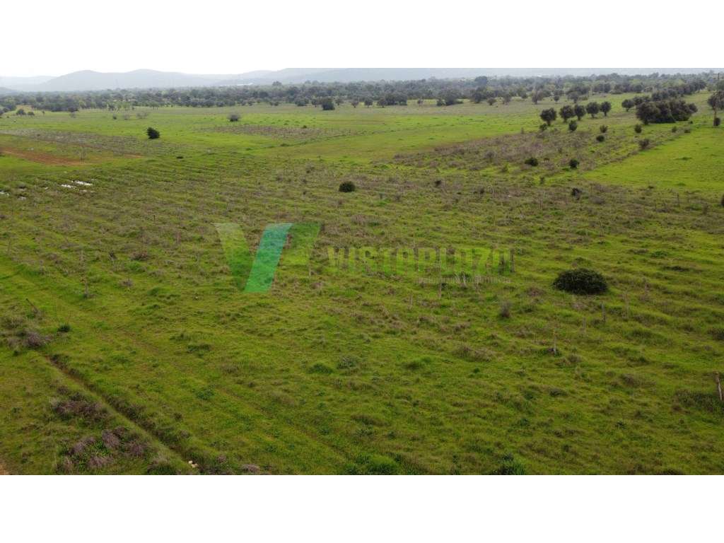 Lote de terreno rústico perto de Paderne, plano, vedado e com vista...-18