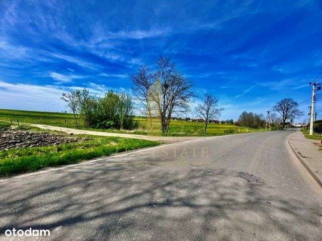 ---Dla Inwestora działka pod zabudowę domów--- - Pełny obrazek: 4/4