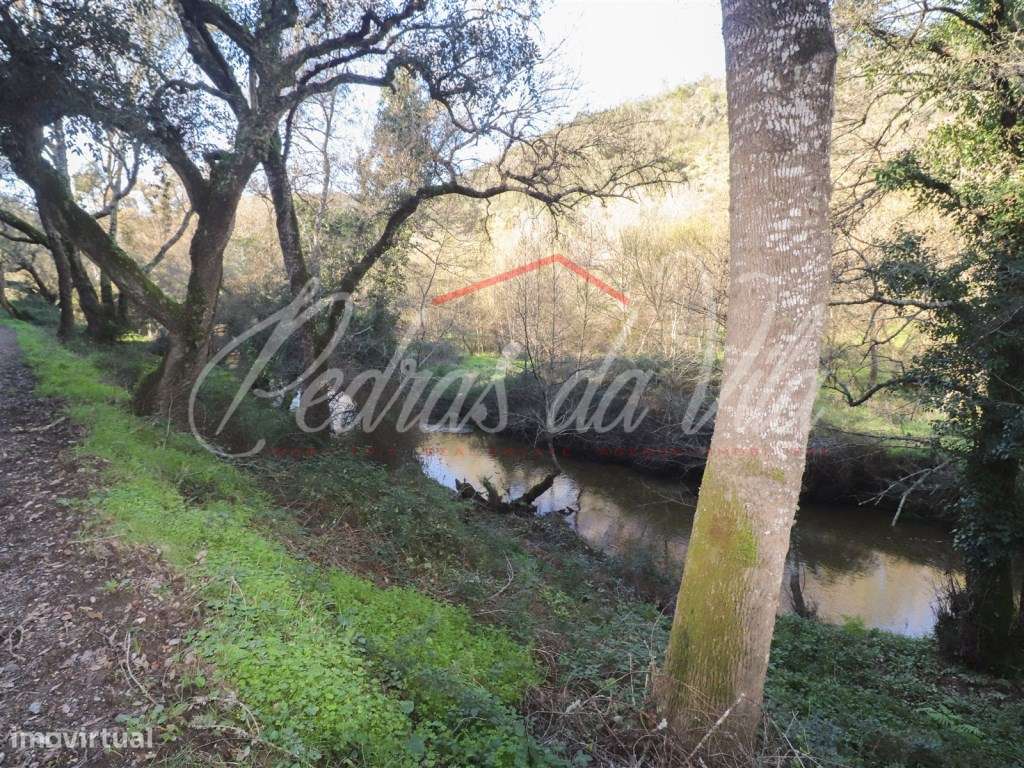 Monte Alentejano de 36ha com 3 ruinas - Pego das Pias - Odemira-7