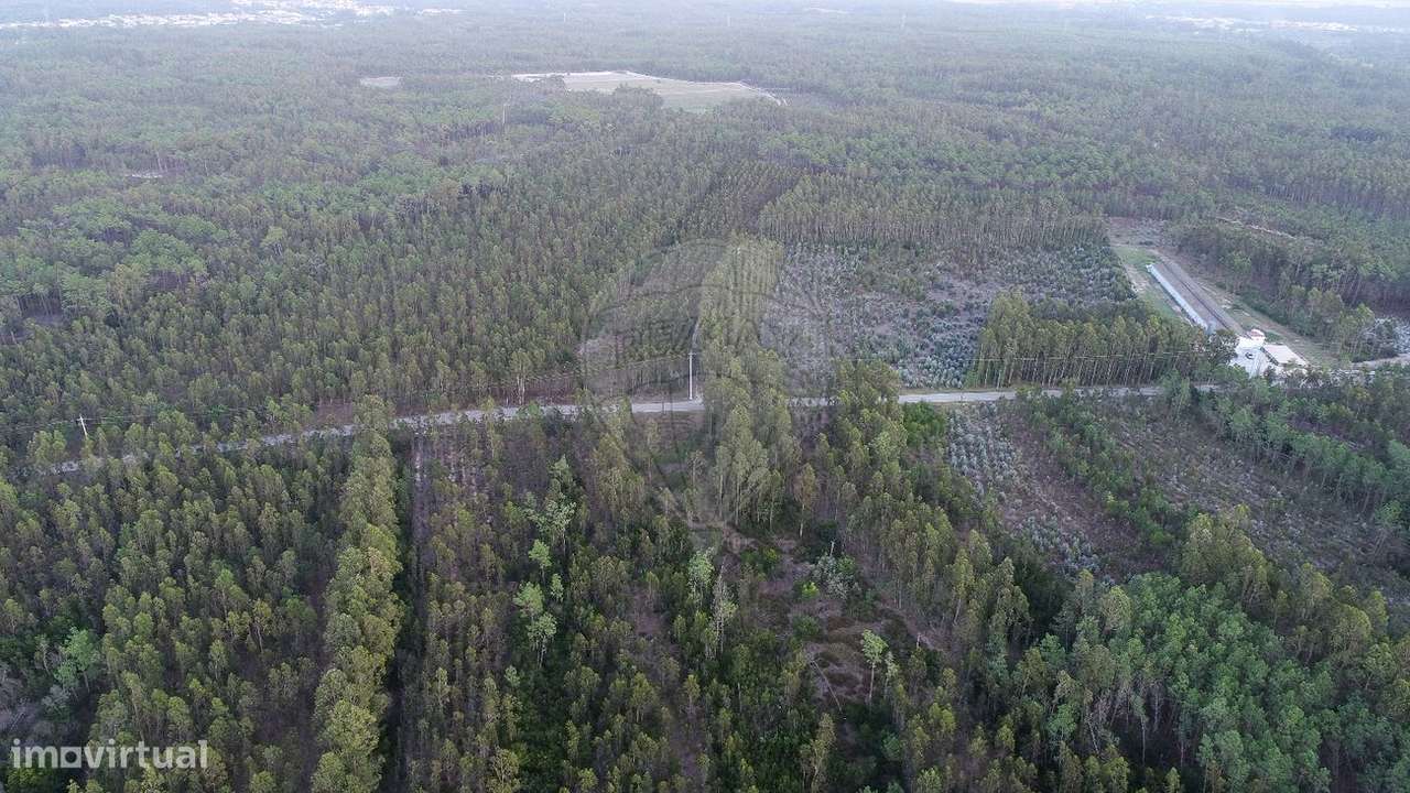 Terreno  para venda - Grande imagem: 4/5