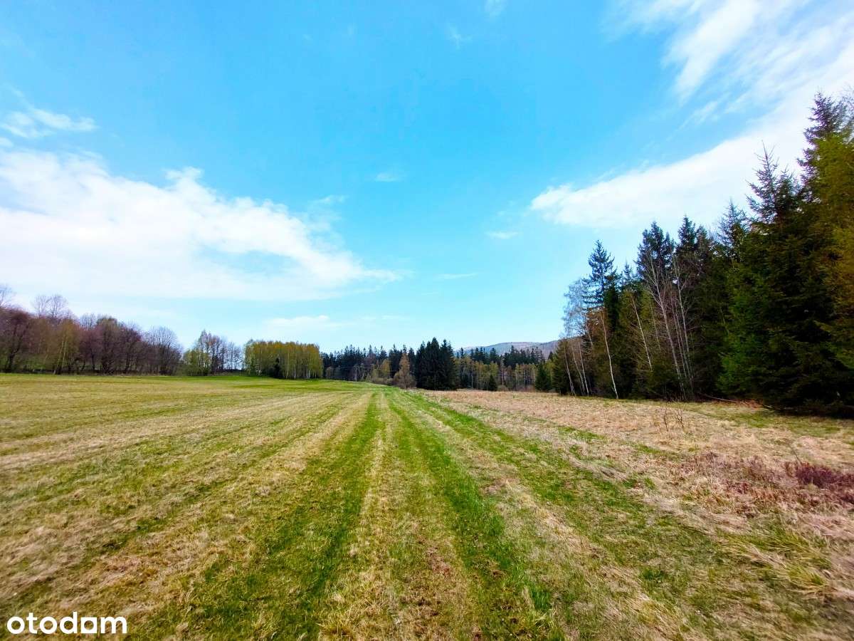 Działki w Sierpnicy - Pełny obrazek: 5/7