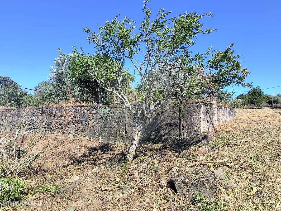 Quinta  para venda - Grande imagem: 5/12