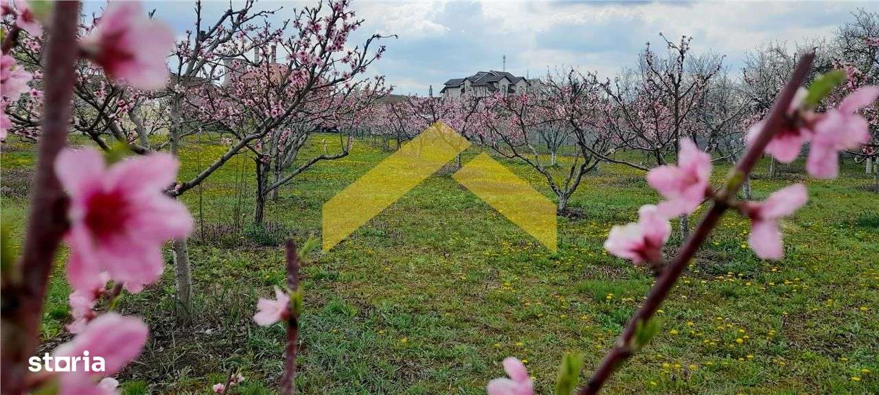 Casa de vanzare zona Gradiste - Imagine principală: 5/11