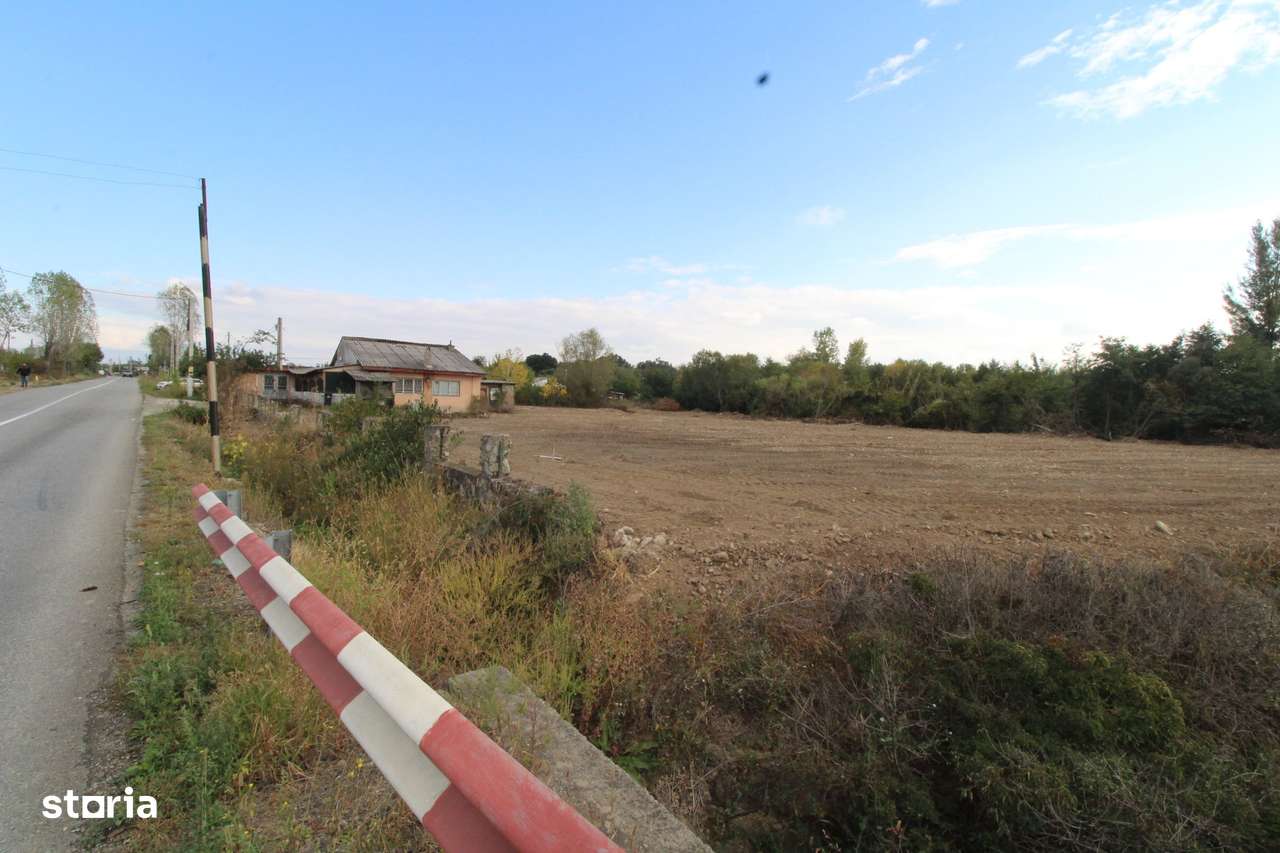 Parcela teren intravilan, 3169mp,  Tetila - Imagine principală: 5/6