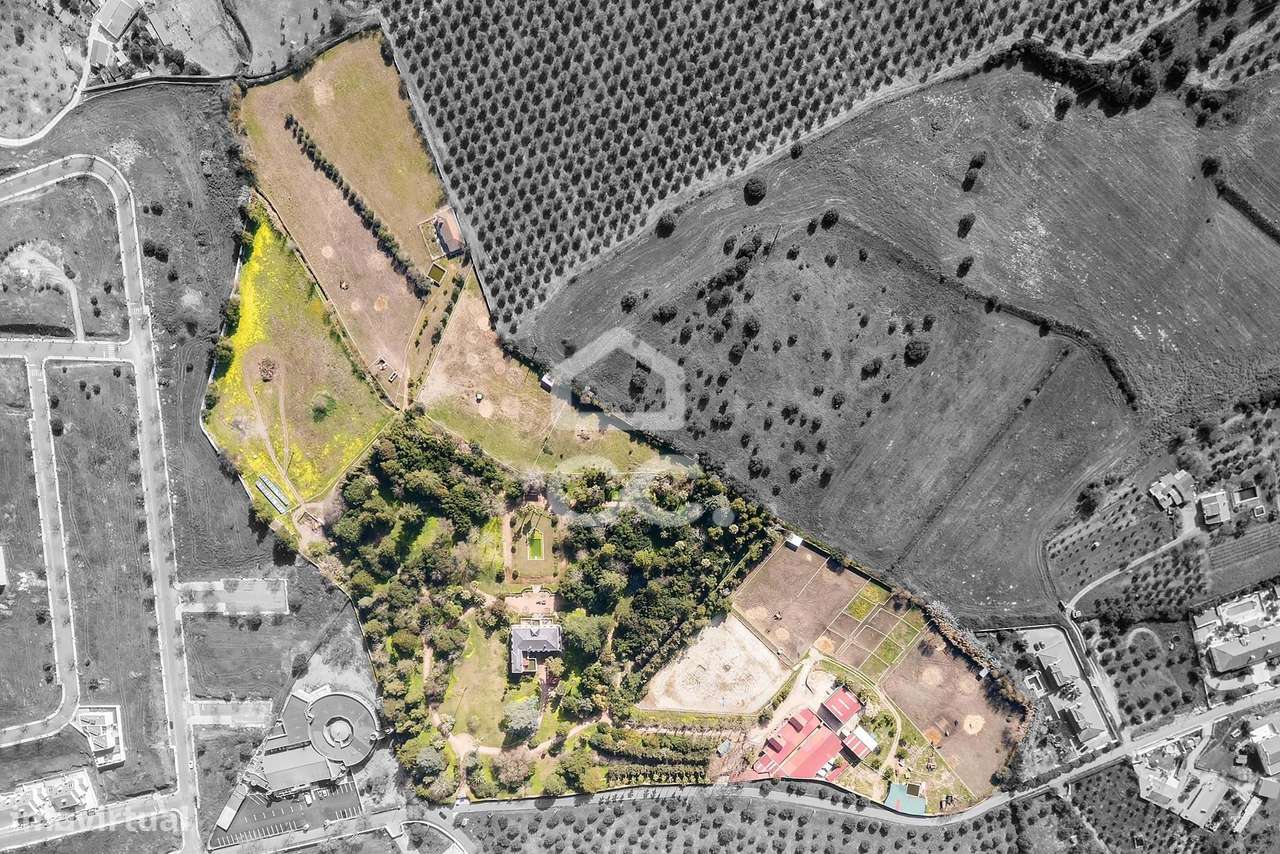 Palacete de inspiração neoclássica francesa com jardim botânico de Jea-11