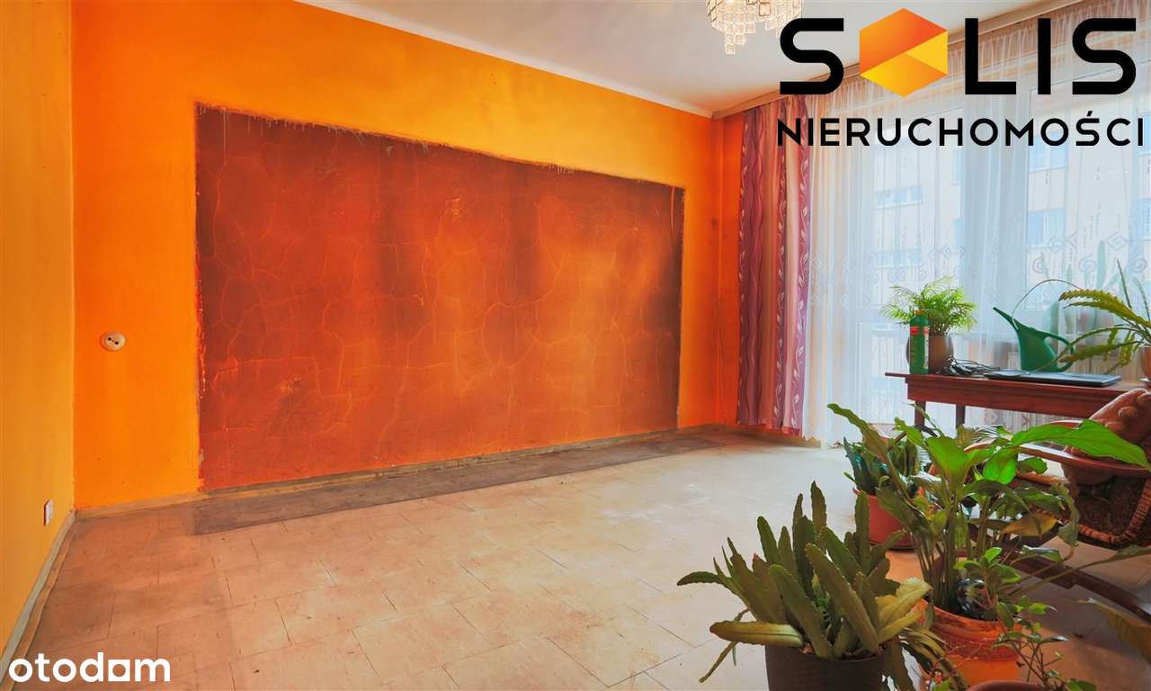 Duże M4 ul. Karłowicza - Pełny obrazek: 2/11