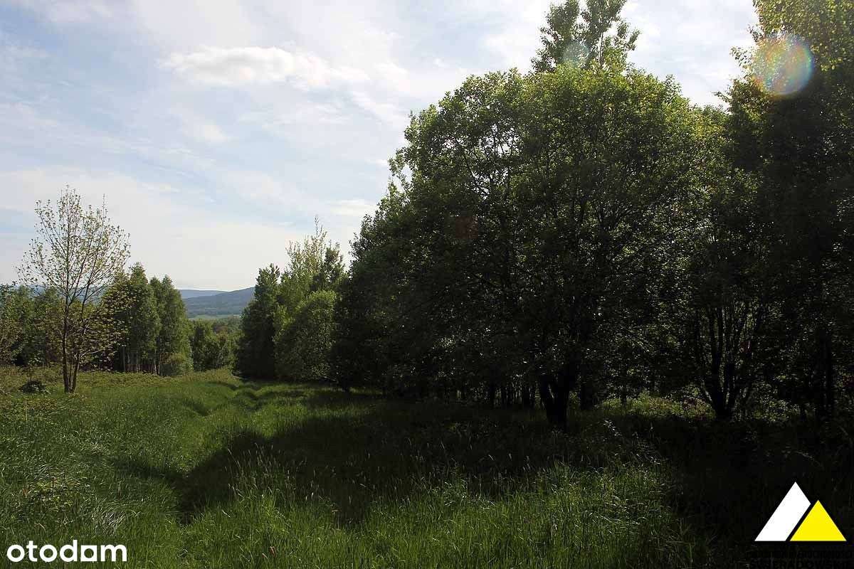 Działka w Grudzy - Pełny obrazek: 5/9