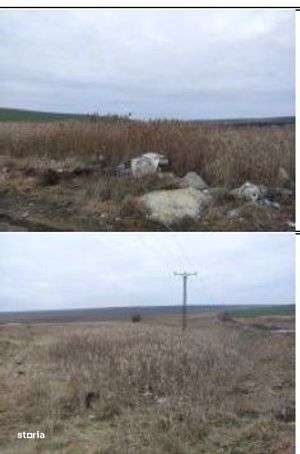 Teren extravilan cota parte 1/3, Rediu, ID: R2642185 - Imagine principală: 3/7