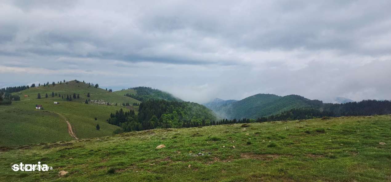 Parcele de vis in munti – Zona Arka Park, cu drum de acces si PUZ ap - Imagine principală: 3/19