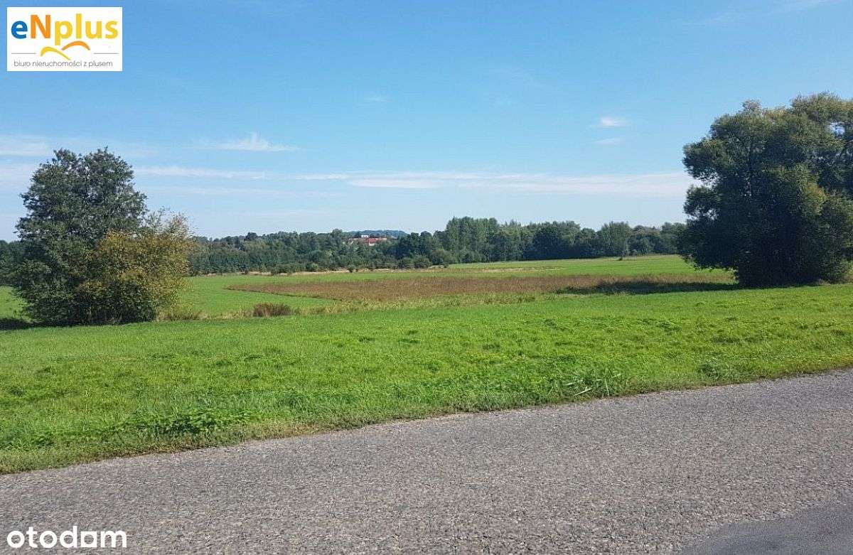 Działka w Lusinie pod Krakowem - Pełny obrazek: 4/4