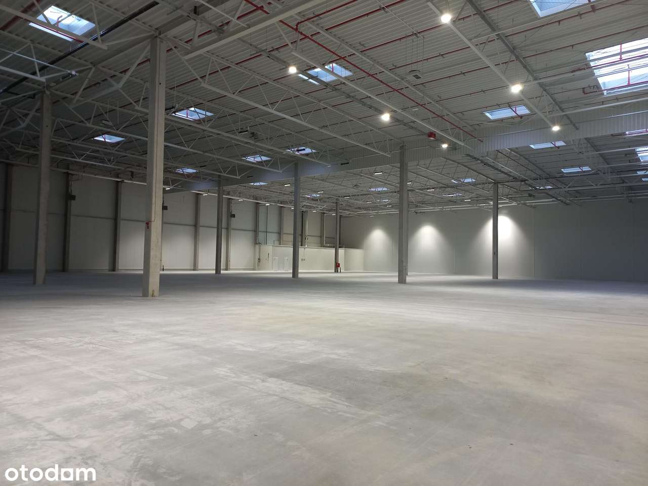 Nowoczesny magazyn na wynajem/ Robakowo k.Poznania/ 30 000 m2 - Pełny obrazek: 4/4