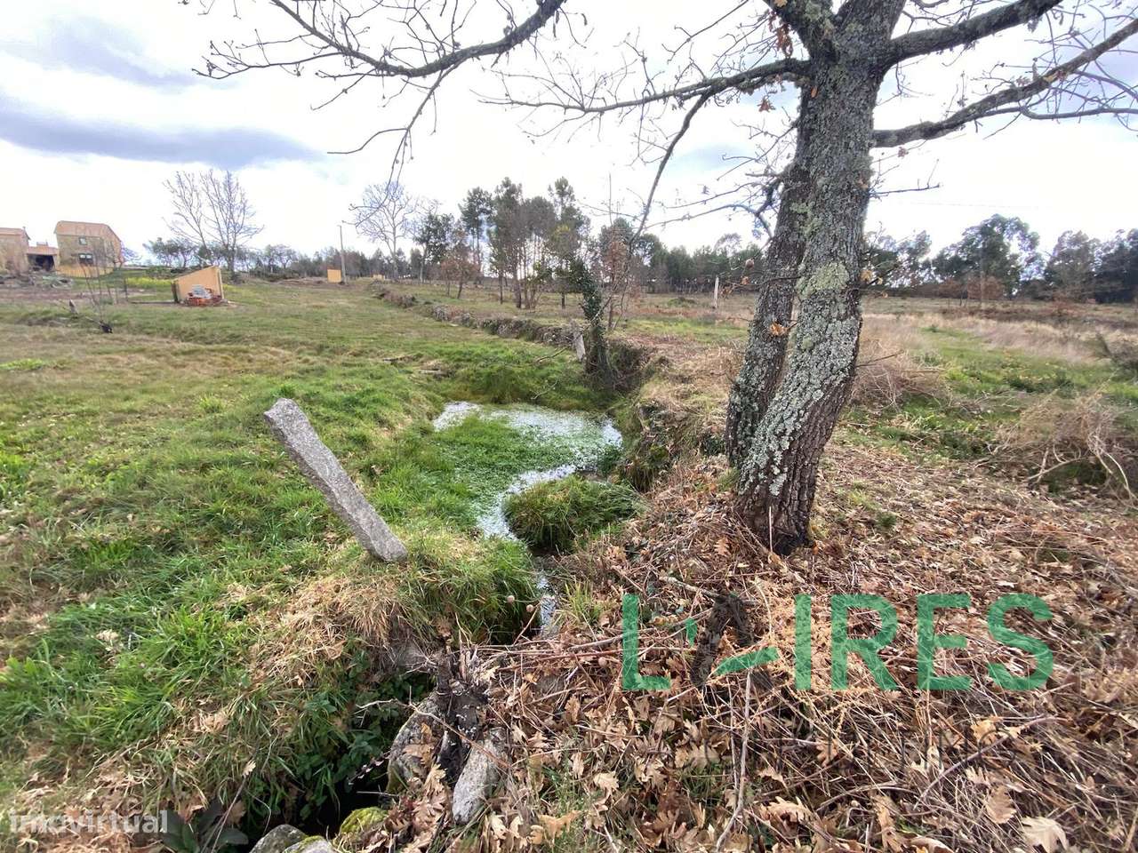 Vende-se em Pinhanços, Seia - Grande imagem: 5/10