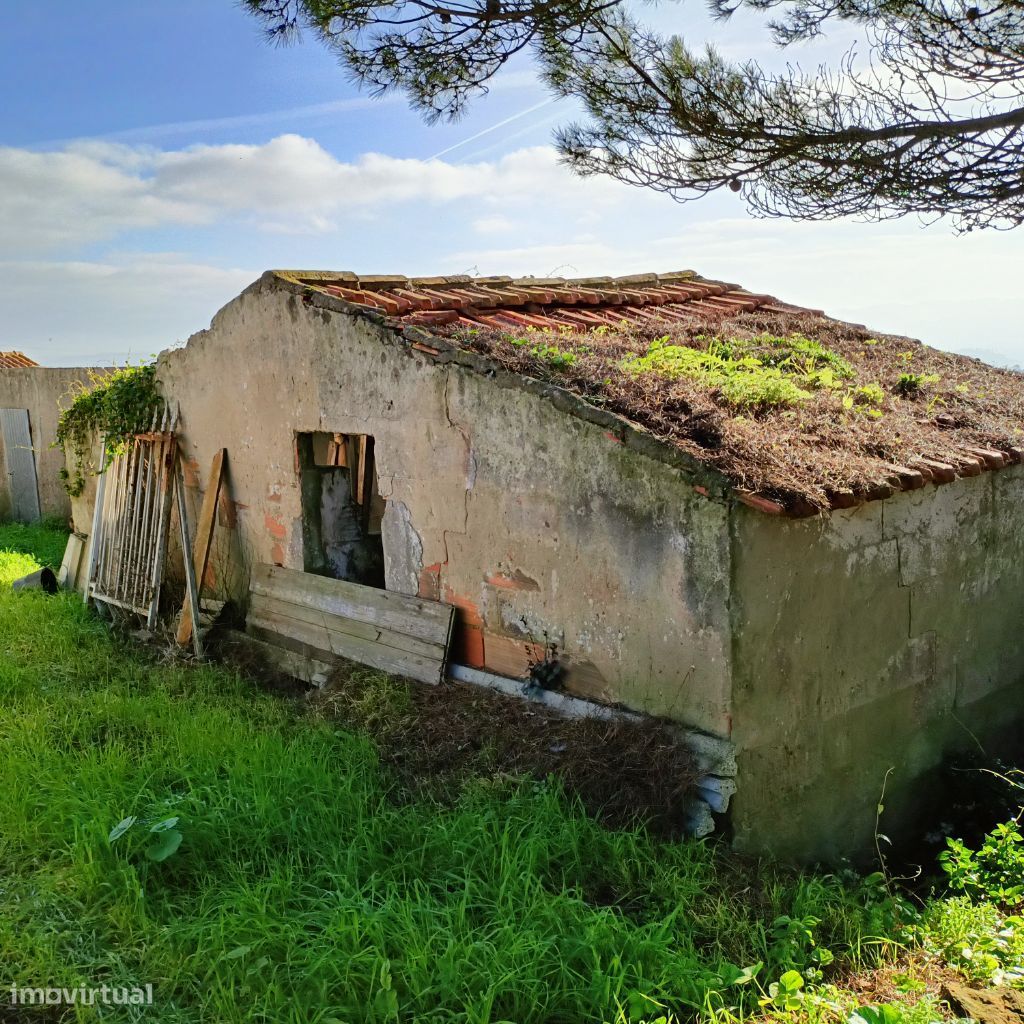 Terreno Serra da Pescaria -Leiria-com 650 m2