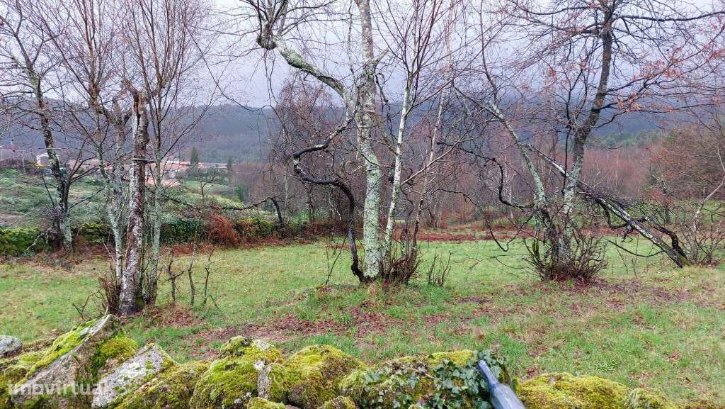 Terreno Rústico - Agra, Rossas-6