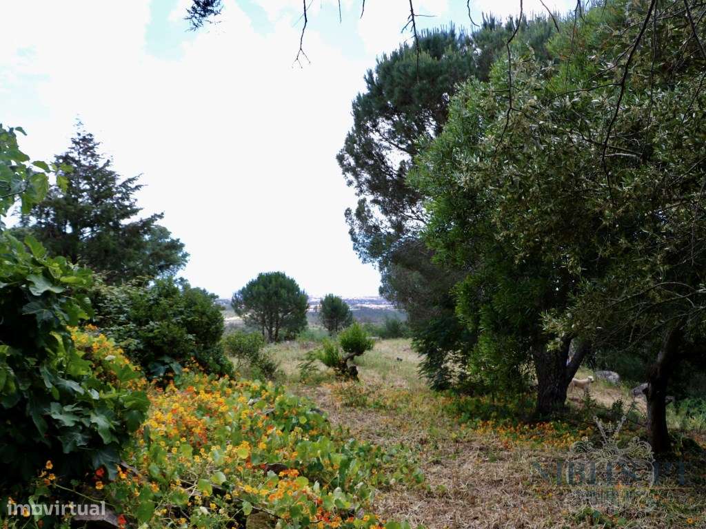 À VENDA: Lote com vista mar em Malveira da Serra - localização elev...-11