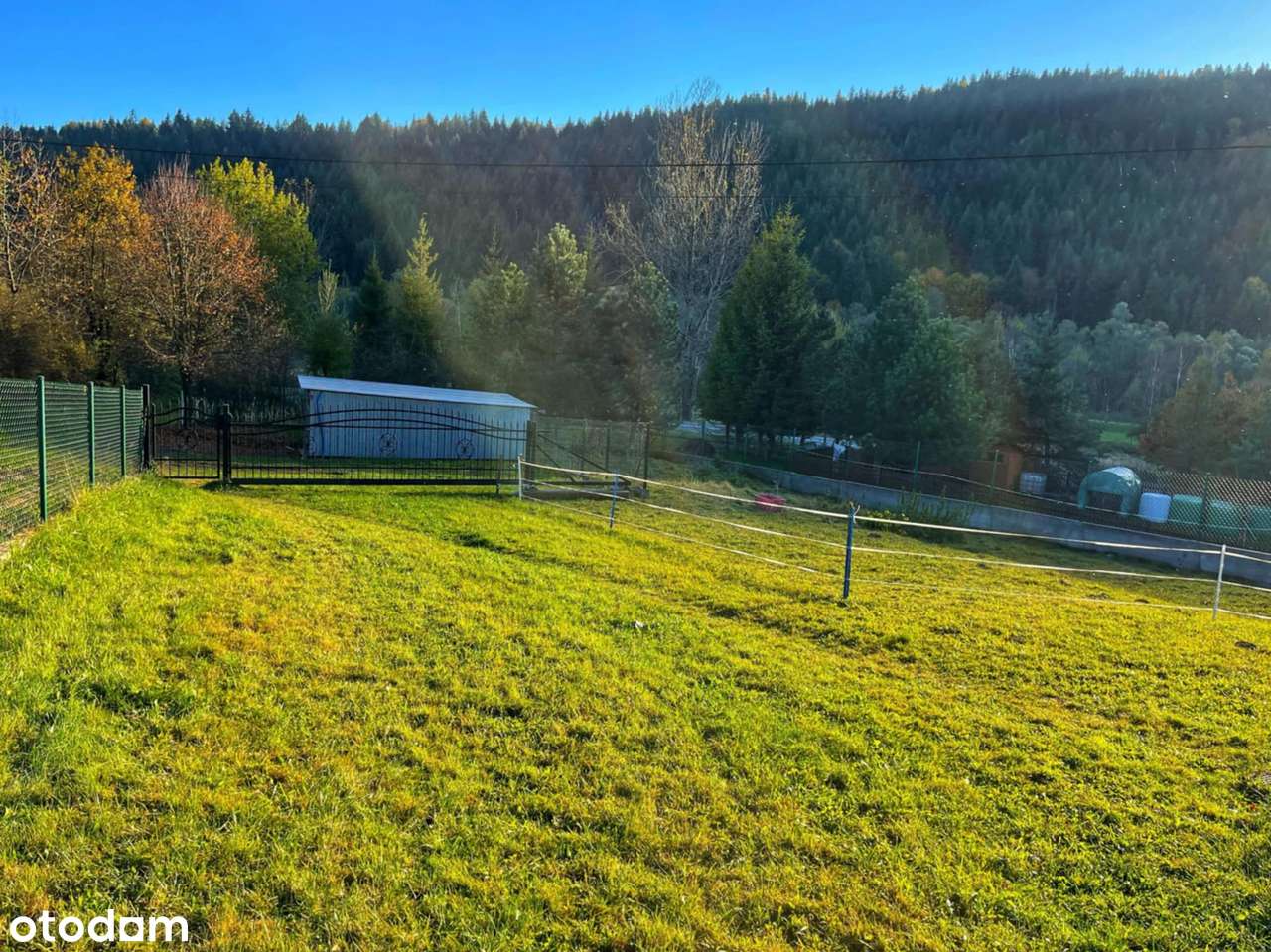 Duża działka budowlana z domkiem letniskowym - Pełny obrazek: 5/11