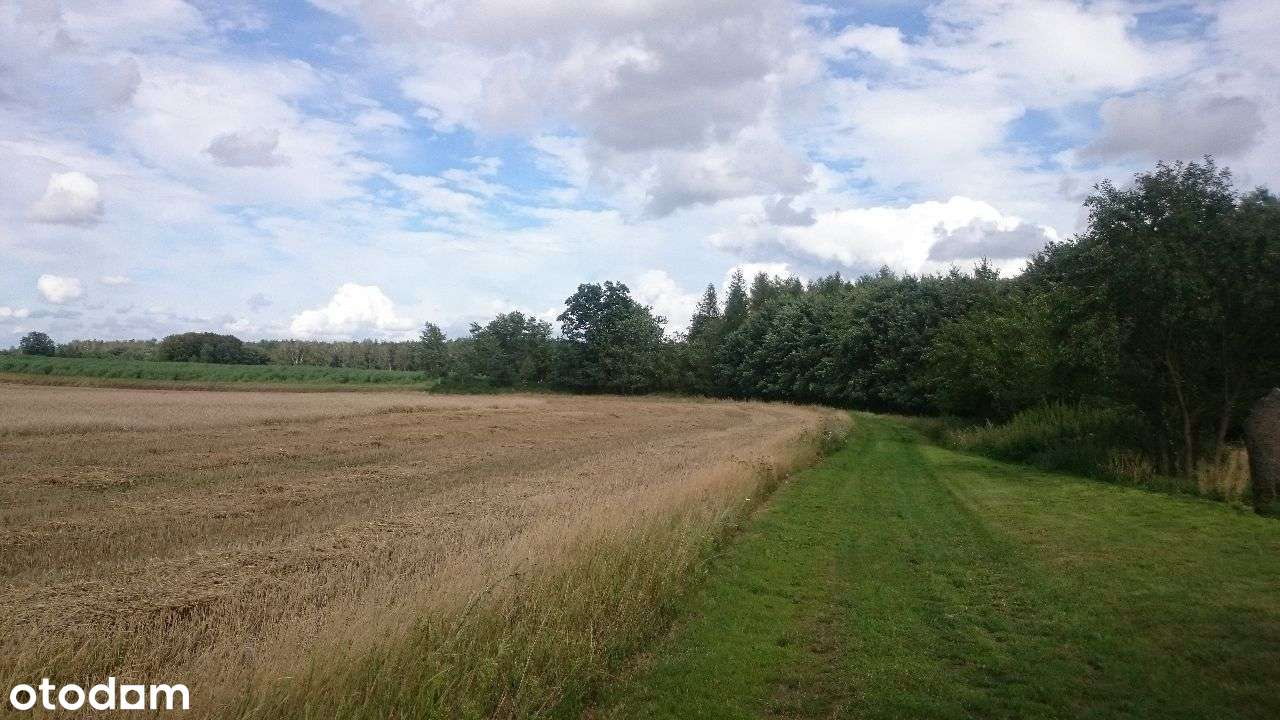 Ładne działki, las, jezioro-Nienawiszcz-PROMOCJA!!-12