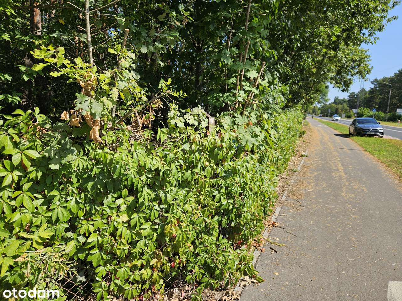 Na sprzedaż działka budowlana 1812 m² – Józefów, pow. otwocki - Pełny obrazek: 3/5