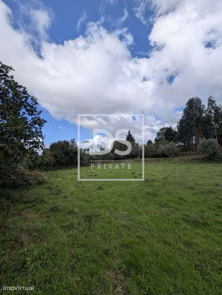 Fabulosa Quinta em Moimenta da Serra – Gouveia - Grande imagem: 4/19