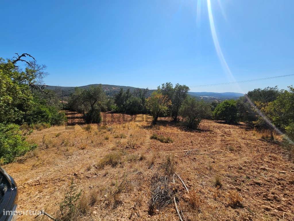Terreno rústico perto de Querença com vista para a Umbria-6