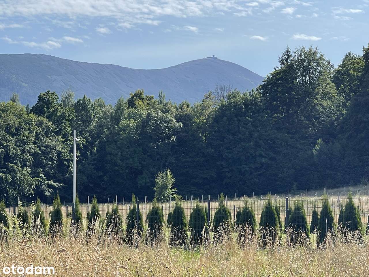 Słoneczna działka 1764 m2. Mega widoki! Parę min. od centrum. Media!-1