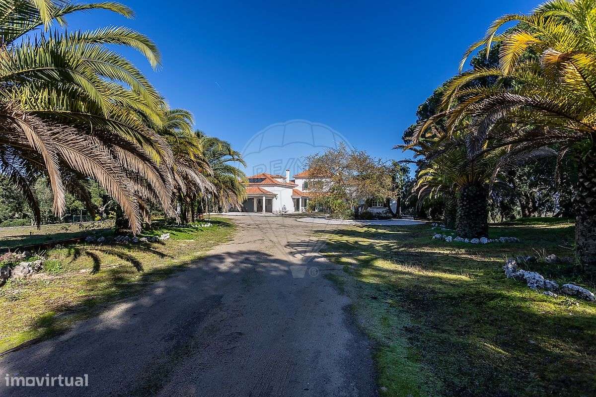 Quinta T5 para venda - Grande imagem: 3/35